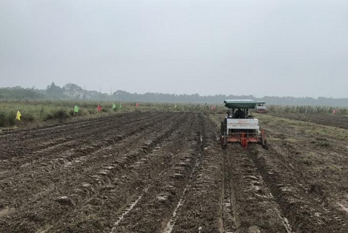 Traktor brachte Versorgungs-Mais-Pflanzer für Gemüse und Korn-langes Berufsleben an 0